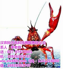 ,价格,厂家,供应商,虾 鳖 鳝 蟹及制品,武汉农科大高科技有限责任公司 热卖促销 阿土伯网