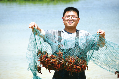 浏阳龙伏镇:一个农业大镇的转型升级