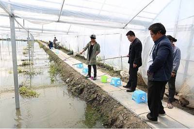 特别推荐:发展温室养殖,打破小龙虾生产“冬淡”,亩产可达1000斤,比野外养殖高出4倍