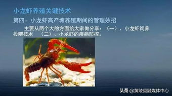 黄陵 水产养殖技术培训 助推产业扶贫