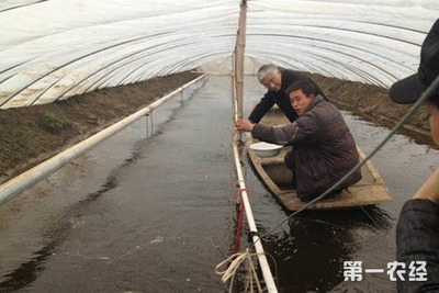 小龙虾养殖利润及成本计算方法介绍