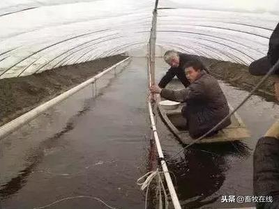 养殖反季节龙虾,将打破龙虾“半年红”的瓶颈