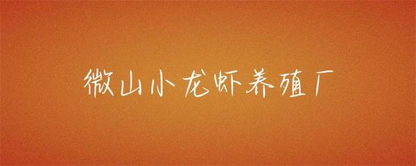 微山小龙虾养殖厂
