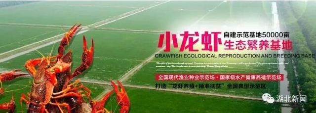 首批国家级稻渔综合种养示范区 潜江有两个入选