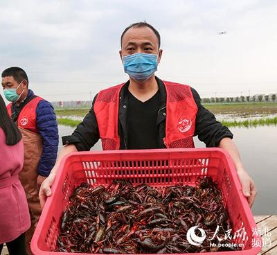 「复工复产」一季度湖北农产品出口增长6.8% 小龙虾等逆势增幅大