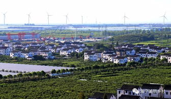 美丽头圩里