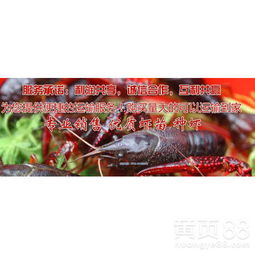 【枣庄市能买到小龙虾苗吗】- 