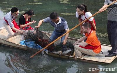 人工养殖小龙虾,除了养殖环境要选择好,饲养密度更为重要