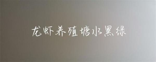 龙虾养殖塘水黑绿