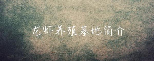 龙虾养殖基地简介
