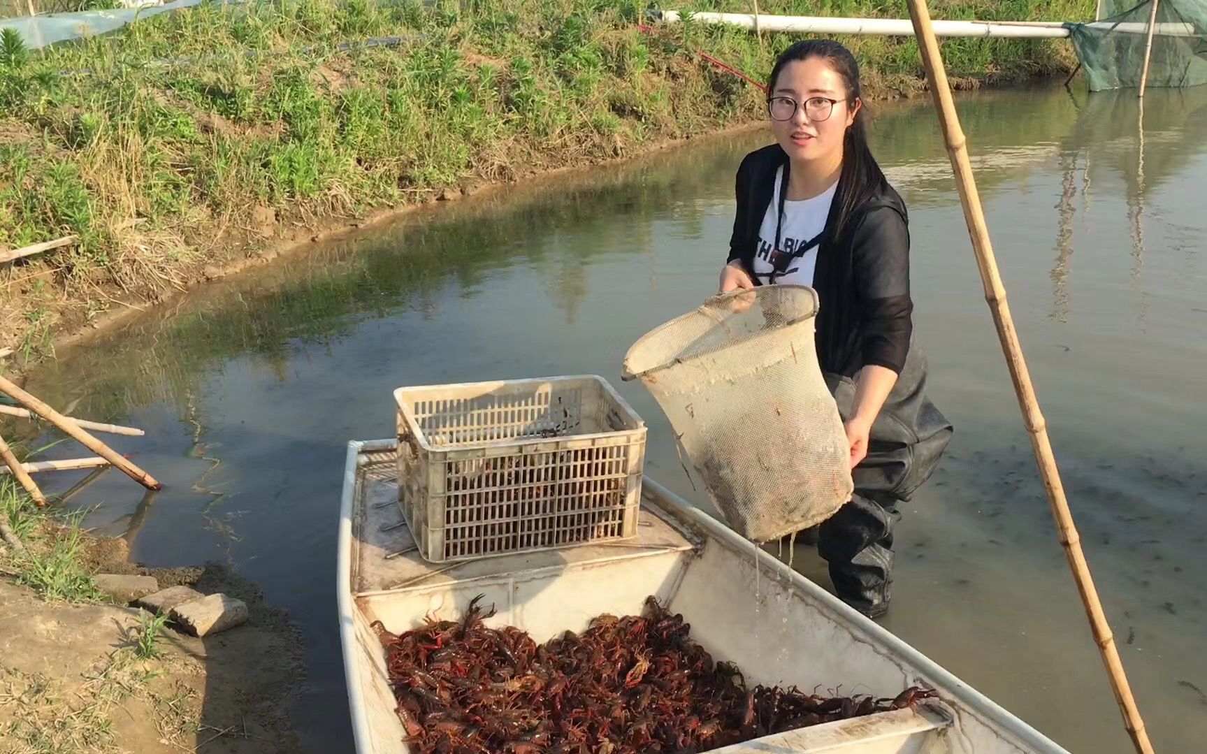 湖北潜江“新虾农”:疫情后有了更多危机感与责任感