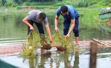 大同小龙虾来袭!浓香麻辣爽爆这个夏天~