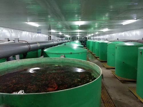 捍卫食材安全 京城老渔 北京 农业科技园区 获评水产健康养殖示范场