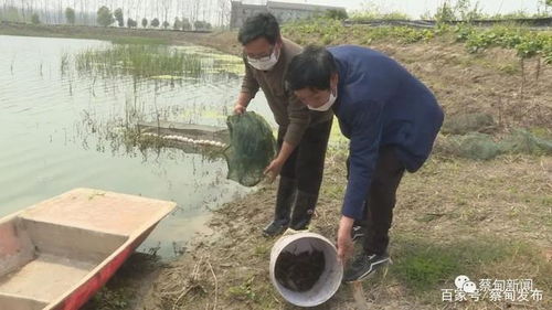 湖北武汉蔡甸 建水产养殖基地 调整产业结构 助力增产增收