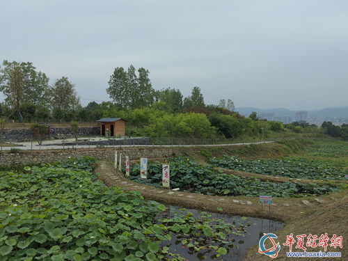 两岸媒体人走进安康市汉阴县 探访台商养殖富硒淡水龙虾的创业故事